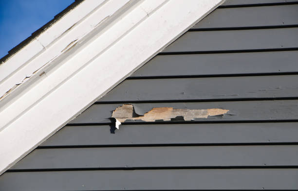 Best Fascia and Soffit Installation  in Eddyville, KY